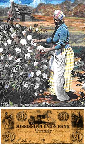 slaves picking cotton. Title: Female Slave Picking