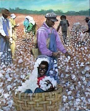 [cotton field boy]